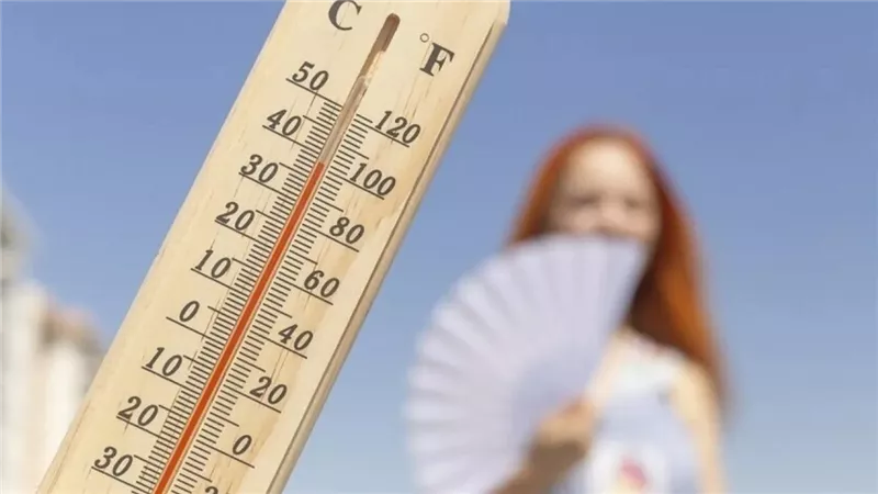 الأرصاد تكشف حالة الطقس غدا وانخفاض الحرارة مستمر مع شبورة وأمطار واضطراب بالملاحة