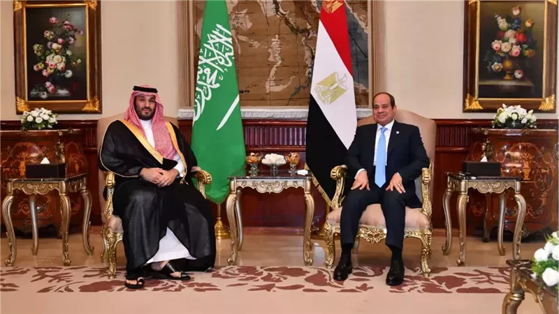 مصر والسعودية تبحثان خفض التصعيد الإقليمي وحماية الملاحة الدولية