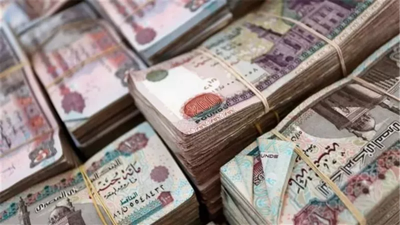 تقدير النفقة أمام محاكم الأسرة.. الدخل والممتلكات والحسابات البنكية تحدد القيمة