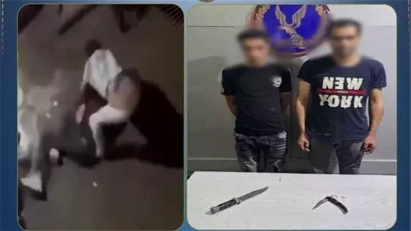 الداخلية تضبط عنصرين جنائيين بعد مشاجرة بالسلاح الأبيض في ثان المنتزه