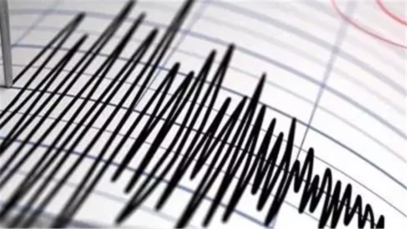 البحوث الفلكية تستبعد توابع قوية لزلزال القاهرة والطوارئ تواصل المتابعة دون خسائر
