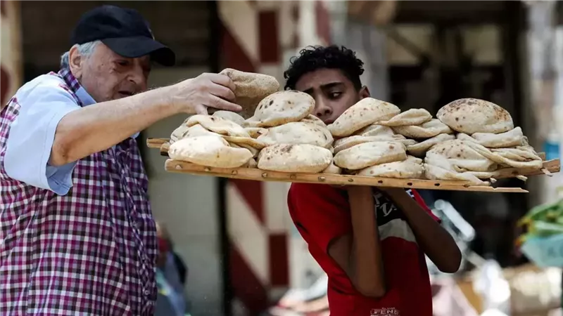 أسعار الخبز السياحي والفينو.. التموين تحدد الحد الأقصى وتحذر المخابز المخالفة