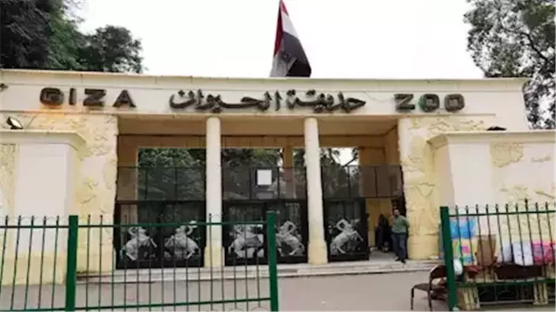 موعد افتتاح حديقة الحيوان بالجيزة 2026 في الربع الأخير وخطة التطوير الجديدة
