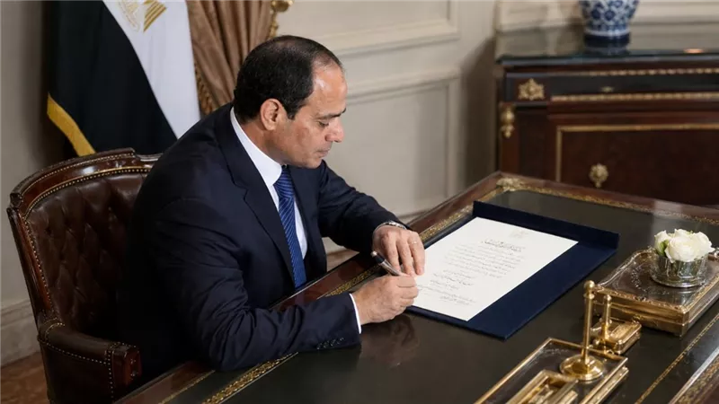 الرئيس السيسي يوافق على انضمام مصر لاتفاقية التجارة التفضيلية للدول الثمانية النامية