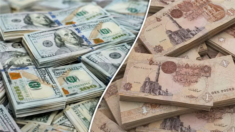 سعر الدولار اليوم 24 أغسطس 2026 في البنوك والسوق الموازية وأعلى سعر للشراء