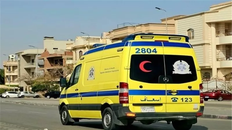 رحلة العودة من العمل تنتهي بمصرع شخصين وإصابة آخرين في انقلاب ميكروباص