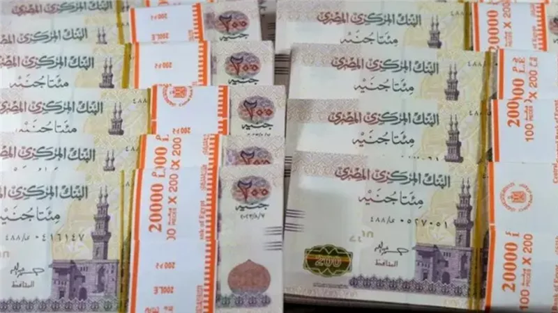 مصير 100 ألف جنيه خلال عام بين الاحتفاظ النقدي والذهب والبورصة والشهادات وأذون الخزانة