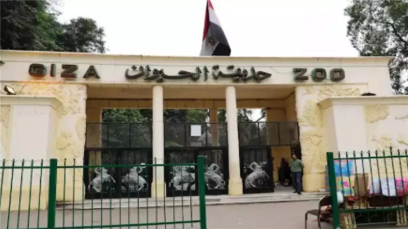 افتتاح حديقة الحيوان بالجيزة خلال الربع الأخير من 2026 وأسعار التذاكر لم تُعلن بعد