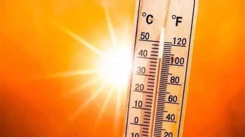 الأرصاد تكشف طقس الأربعاء.. المحسوسة 45 درجة وشبورة ورياح وأمطار خفيفة