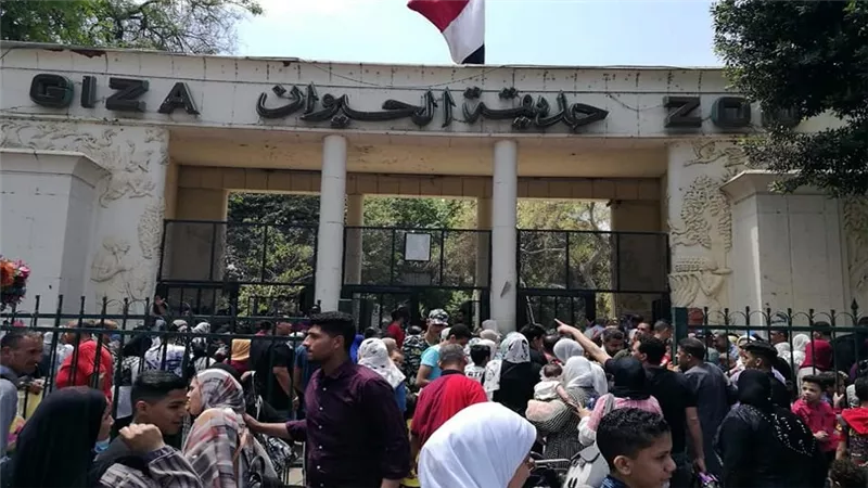 موعد افتتاح حديقة الحيوان بالجيزة.. الشركة المسؤولة تكشف الفترة المستهدفة لاستقبال الجمهور