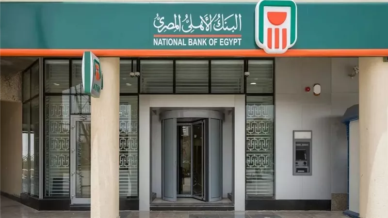 البنك الأهلي يمول المزارع السمكية حتى 3 ملايين جنيه.. التفاصيل وشروط الحصول على التمويل