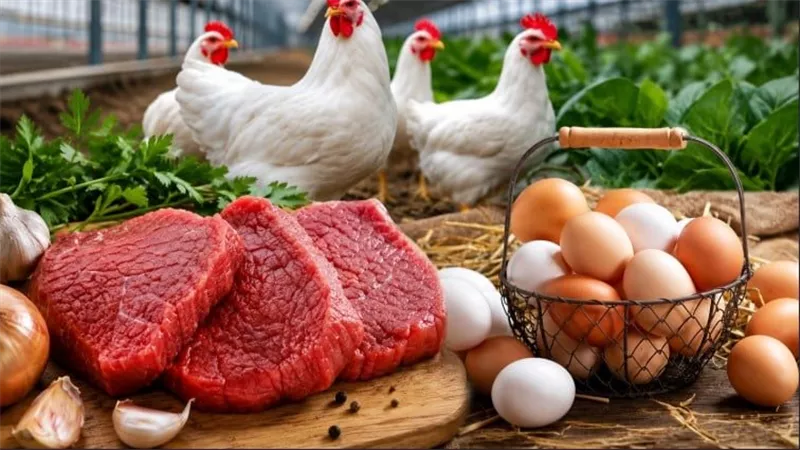 أسعار البيض والدواجن واللحوم اليوم.. الكرتونة من 85 والفراخ بالمزرعة 58 والكندوز من 370 جنيهًا