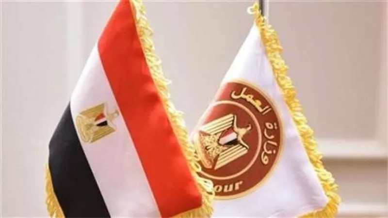 وظائف جديدة للشباب في 13 محافظة.. 1489 فرصة بالقطاع الخاص وطرق التقديم