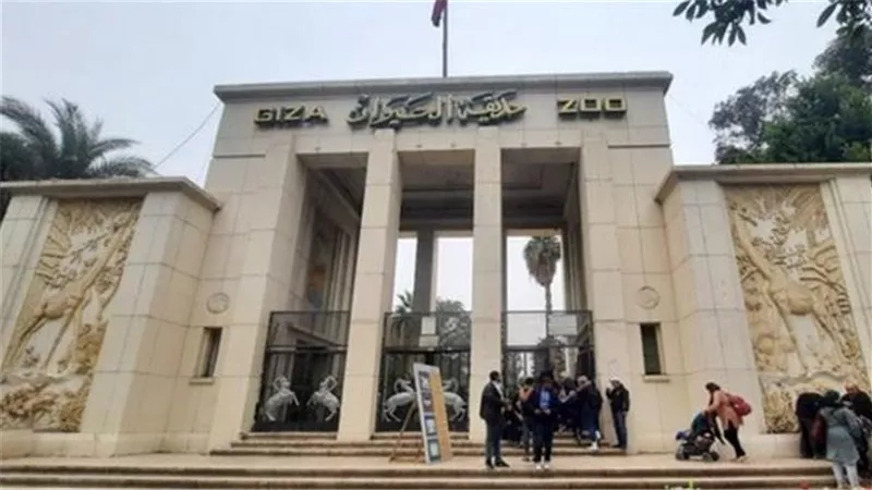 تطوير حديقة الحيوان بالجيزة 2026.. ربطها بالأورمان واستقدام 118 فصيلة والافتتاح بالربع الأخير