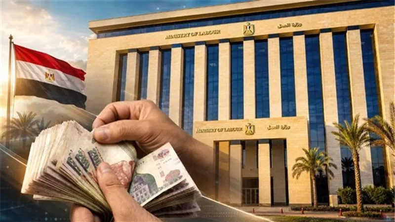وزارة العمل تعلن 860 فرصة عمل برواتب تصل إلى 30 ألف جنيه وفق نشرة التوظيف 