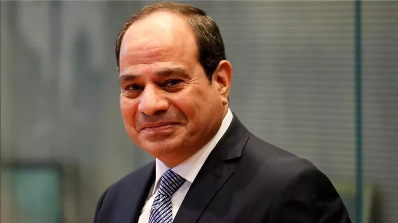 تهنئة الرئيس السيسي بذكرى المولد النبوي من محافظ الفيوم ورؤساء جامعات وقضايا الدولة