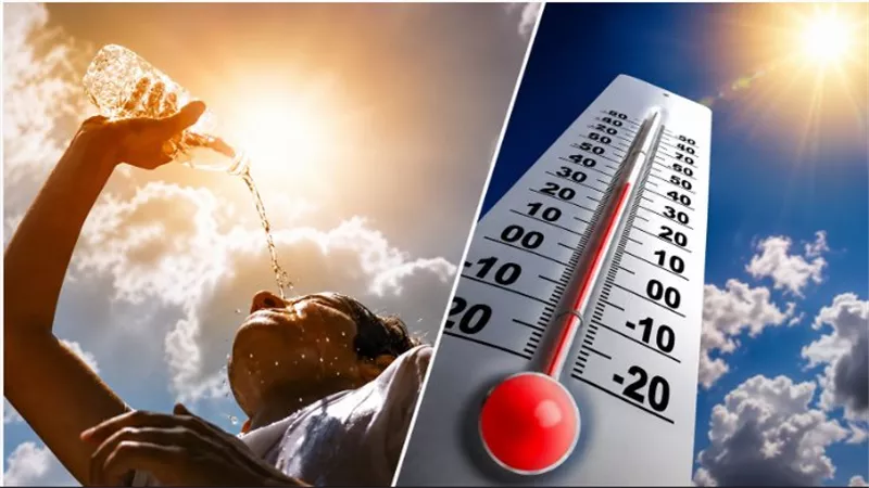 حالة الطقس اليوم الثلاثاء.. شبورة تخفض الرؤية لأقل من 1000 متر والقاهرة 36 درجة