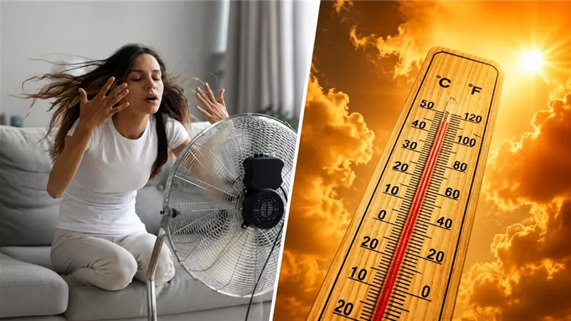 حالة الطقس غدا الجمعة 21 أغسطس 2026.. ارتفاع الحرارة والرطوبة وشبورة واضطراب الملاحة
