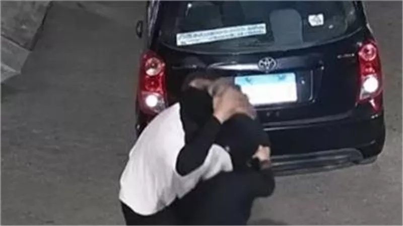 لهو الأطفال ينتهي بمشاجرة وسوبلكس.. قرار جديد بشأن سيدة طوخ