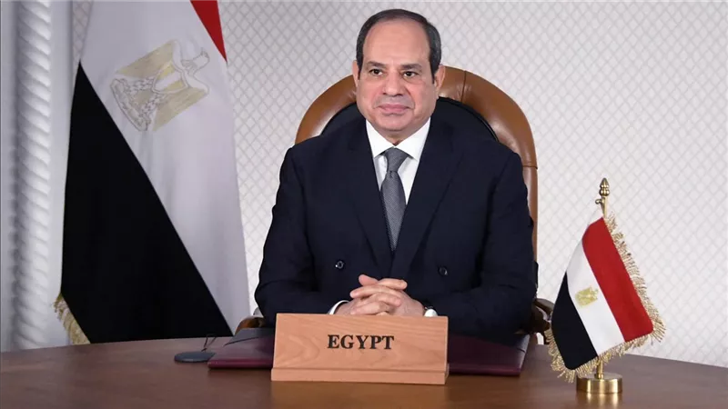 الرئيس السيسي يشدد على ضبط الأسواق.. القانون يحدد عقوبة التلاعب والاحتكار
