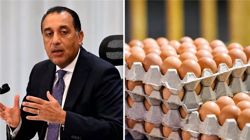 رئيس الوزراء: كرتونة البيض بـ70 جنيهًا في معارض أهلًا مدارس 2026 وتخفيضات على الغذاء والمستلزمات