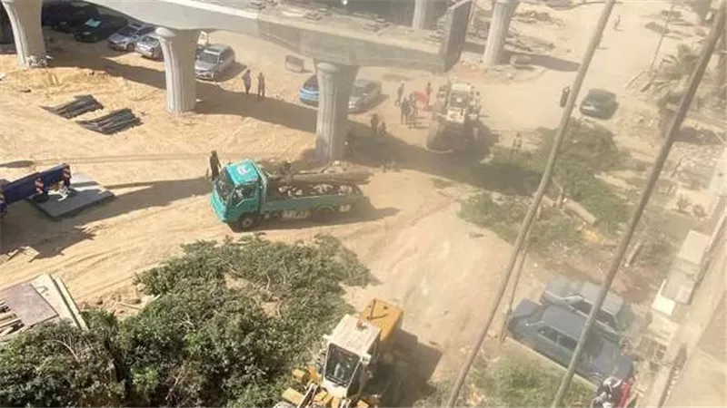 عمرو أديب يطالب بمراجعة قرارات قطع الأشجار بعد تصاعد الاهتمام المجتمعي