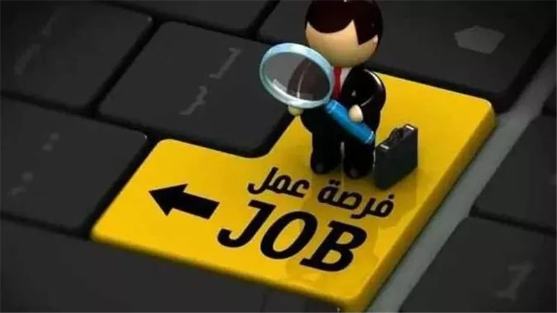 وظائف المدارس الخاصة 2026 بالجيزة والمنيا.. معلمون وأمن وسائقون والشروط وطريقة التقديم