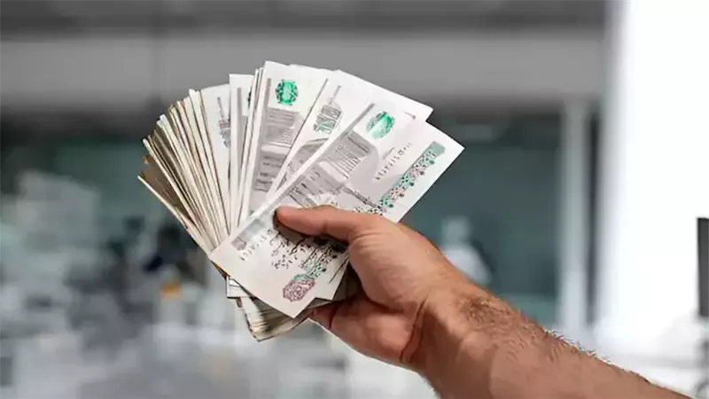 شروط المعاش المبكر 2026.. كيف يُطبق شرطا 50% من أجر التسوية وحد 1755 جنيهًا؟