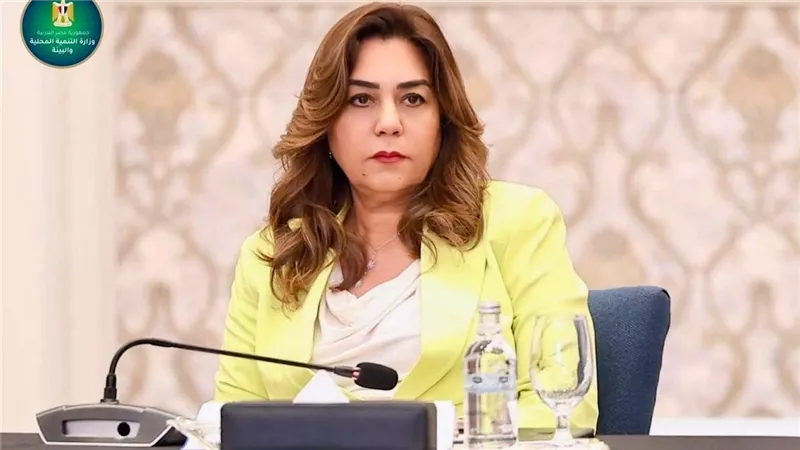 قطع الأشجار في المحافظات.. نفي صدور قرار مركزي وتأكيد اشتراط موافقة المحافظ والبيئة