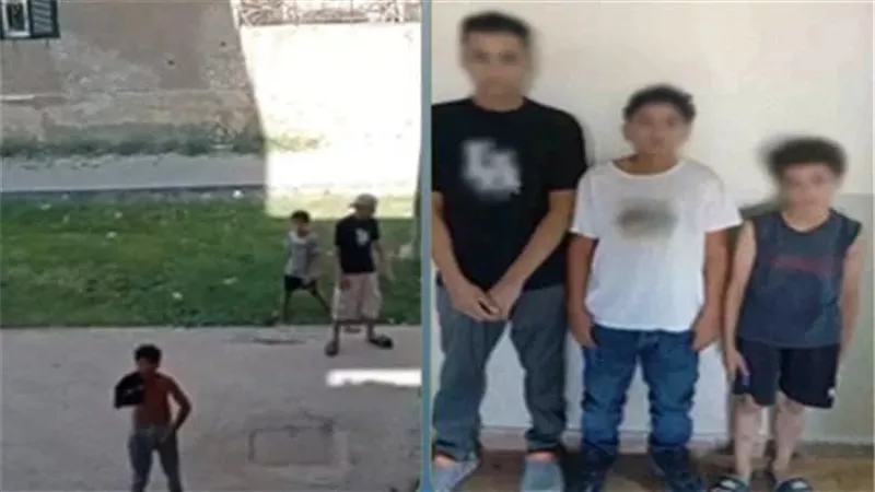 ضبط 3 طلاب بعد فيديو متداول لسيدة تتهمهم بسبها ورشق منزلها بالحجارة في الجيزة