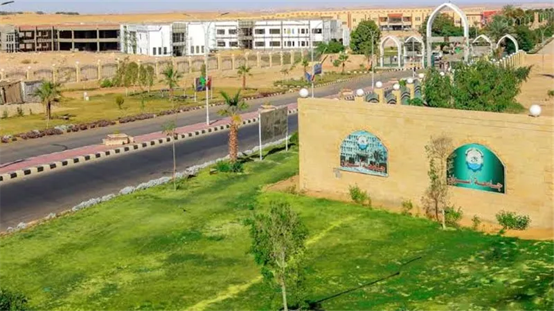 جامعة أسوان تحدد شروط التسكين: عدم الزواج بشاهدين وضامن لسداد المستحقات