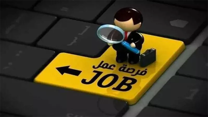 وظائف هيئة قضايا الدولة 2026.. من يحق له التقديم بالندب؟