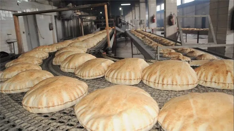 مقترح مخابز بورسعيد: فينو 35 جرامًا بـ1.5 جنيه وسياحي 70 جرامًا بـ2 جنيه وباقي الأنواع للسوق