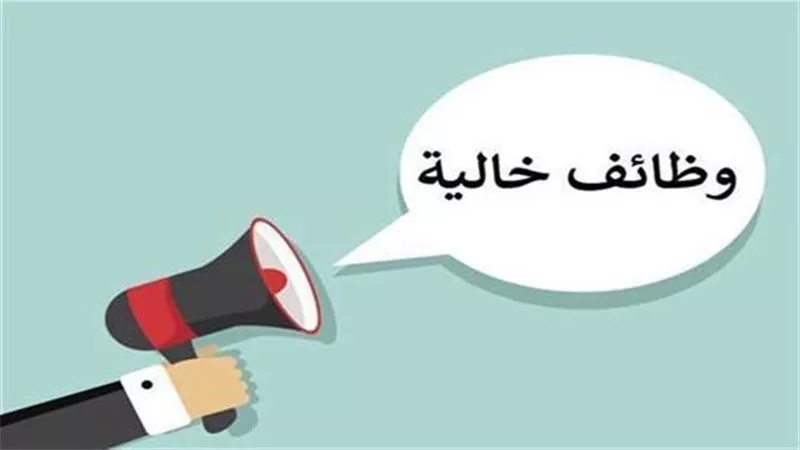 وظائف بالقليوبية من 8 إلى 20 ألف جنيه.. الشروط والمهن وطريقة التقديم