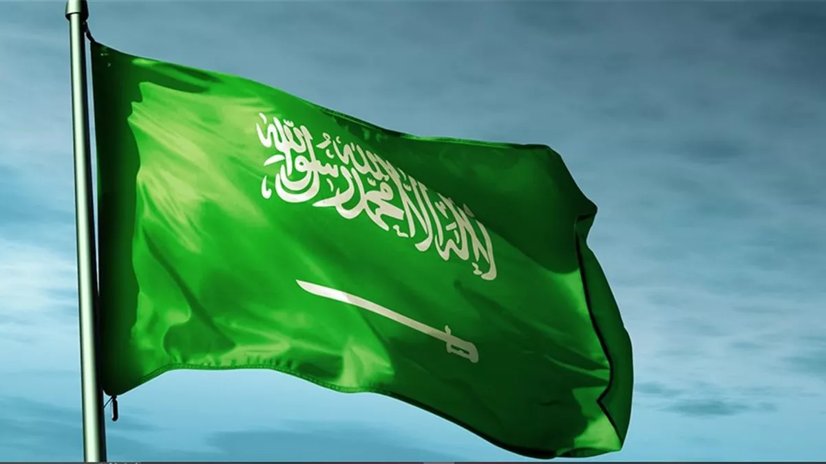 عادل العمدة: دعم السعودية قد يشمل أسلحة ومستشارين 