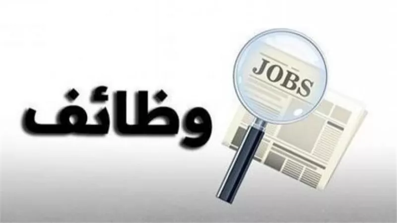 وظائف وزارة العمل 2026 