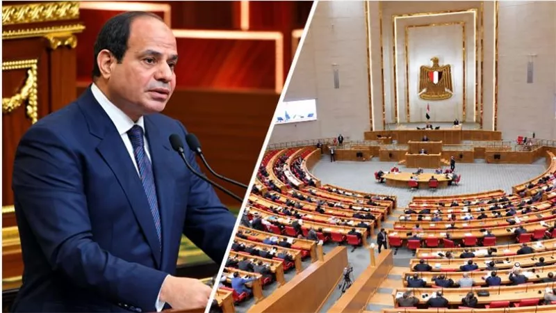 مجلس النواب يحذف المادة 25 من قانون جامعة كيان نهائيًا بعد اعتراض الرئيس السيسي