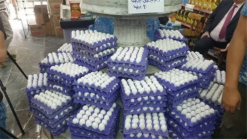 التموين تطرح طبق البيض بـ123 جنيهًا في المجمعات الاستهلاكية