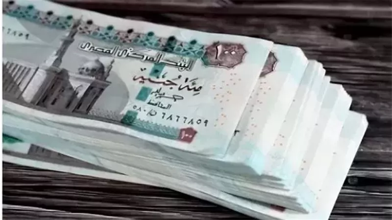 كيف تحصل على معاش شهري دون وظيفة حكومية؟ 