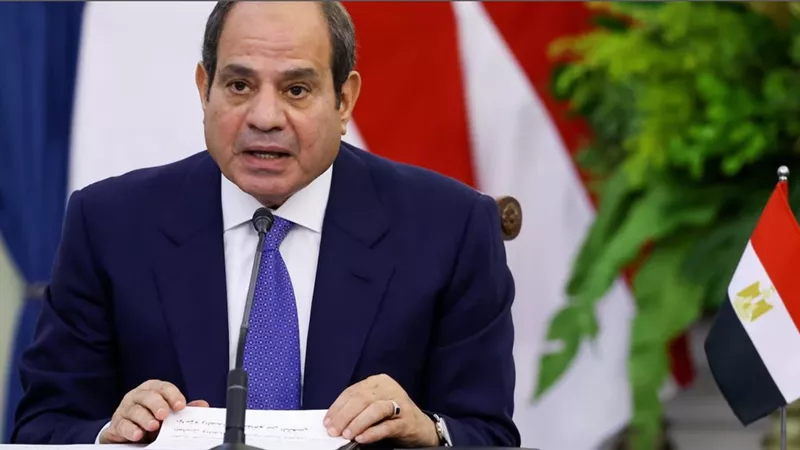 لميس الحديدي تشكر السيسي وتدعو الأحزاب لإعداد قيادات 