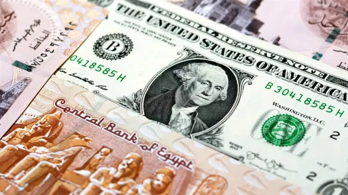 المستوردون يكشفون أعباء الدولار 