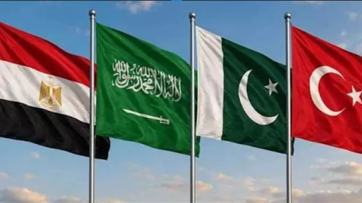 مصر وتركيا والسعودية وباكستان  