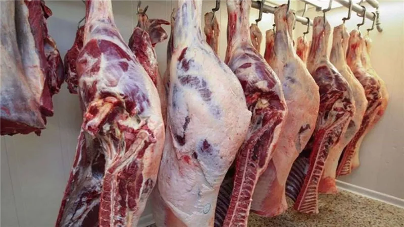 مفاجأة في أسعار اللحوم اليوم في محلات الجزارة والمنافذ الاستهلاكية