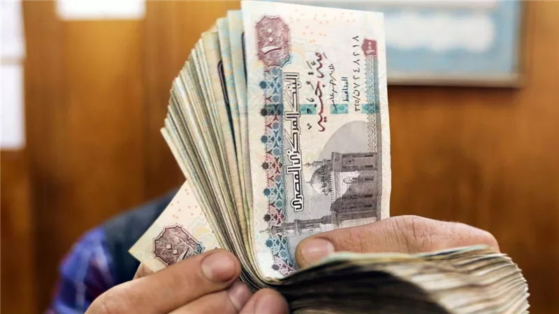 أرباحه مضمونة مشروع للشباب والبنات ولا يحتاج إلى رأس مال
