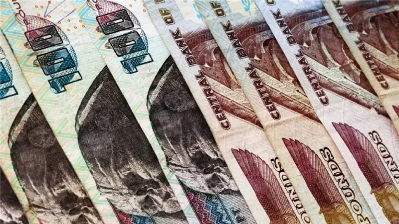 عائد مرتفع يتجاوز الـ39 بالمئة تفاصيل شهادة ادخار في بنك التنمية