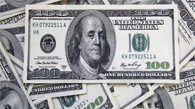 حقيقة بيع السيارات بالدولار داخل المعارض فى مصر