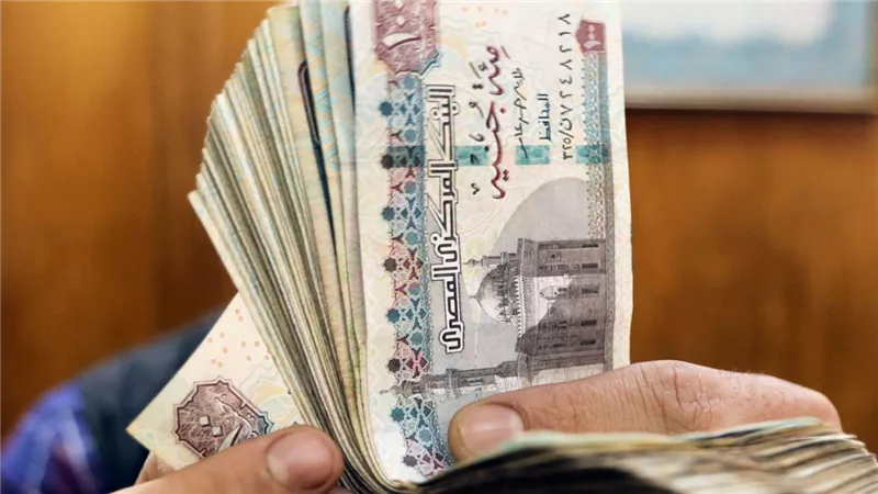 إعانة البطالة تعرف على شروط وخطوات الحصول عليها