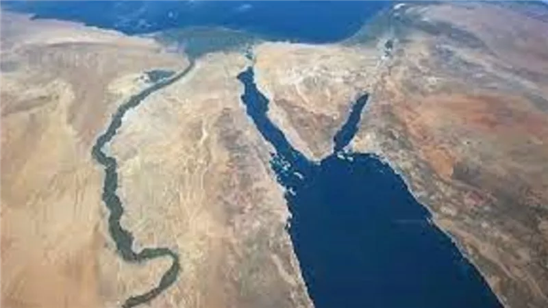 اكتشاف كنز جديد في دلتا مصر
