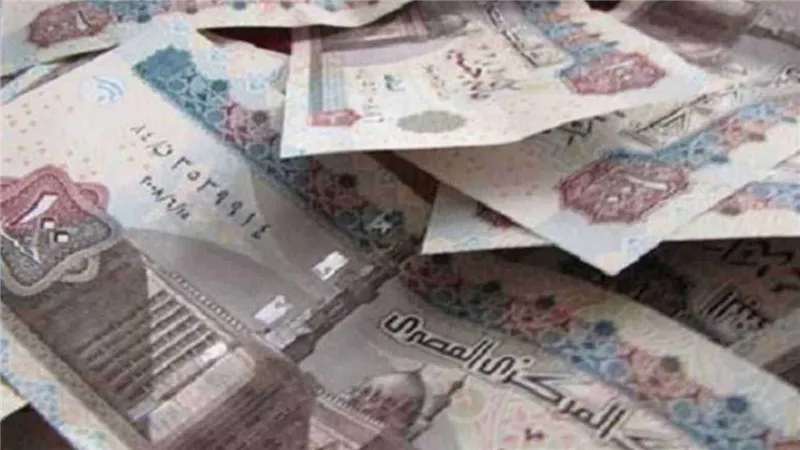 منحة مالية ضخمة الحكومة تصدر بيان عاجل يهم كل المواطنين