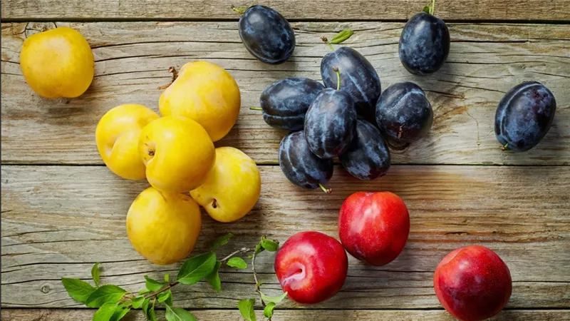 بعد ظهورها فى الأسواق هذه الفاكهة الحلوة المنعشة لها العديد من الفوائد الصحية